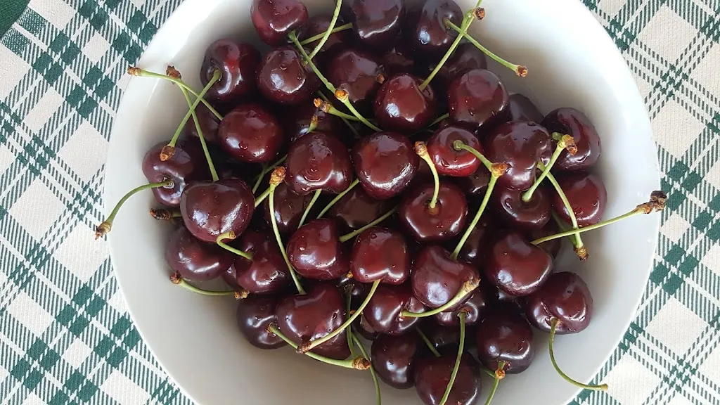 Menu_Dar Pennazza_Sant'Angelo Romano_image_8