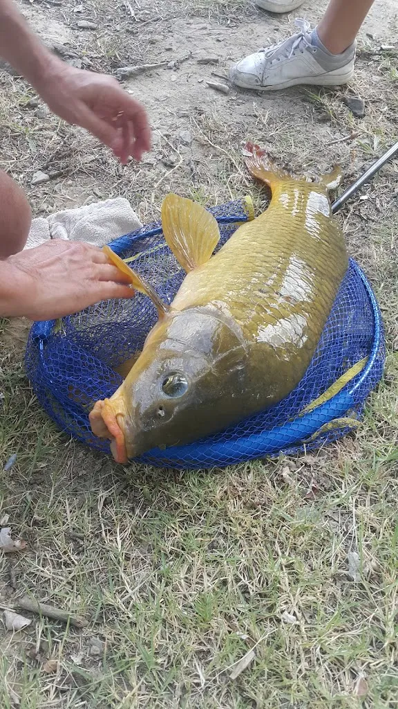 Menu_Lago D'Argento_Santa Rufina_immagine_5