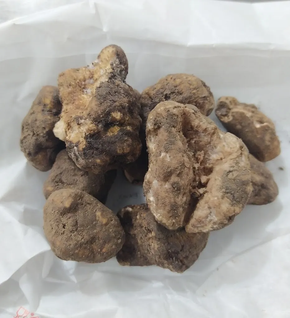 Menu_Ristorante Circolo Gastronomico Il Saraceno_Saracinesco_image_5