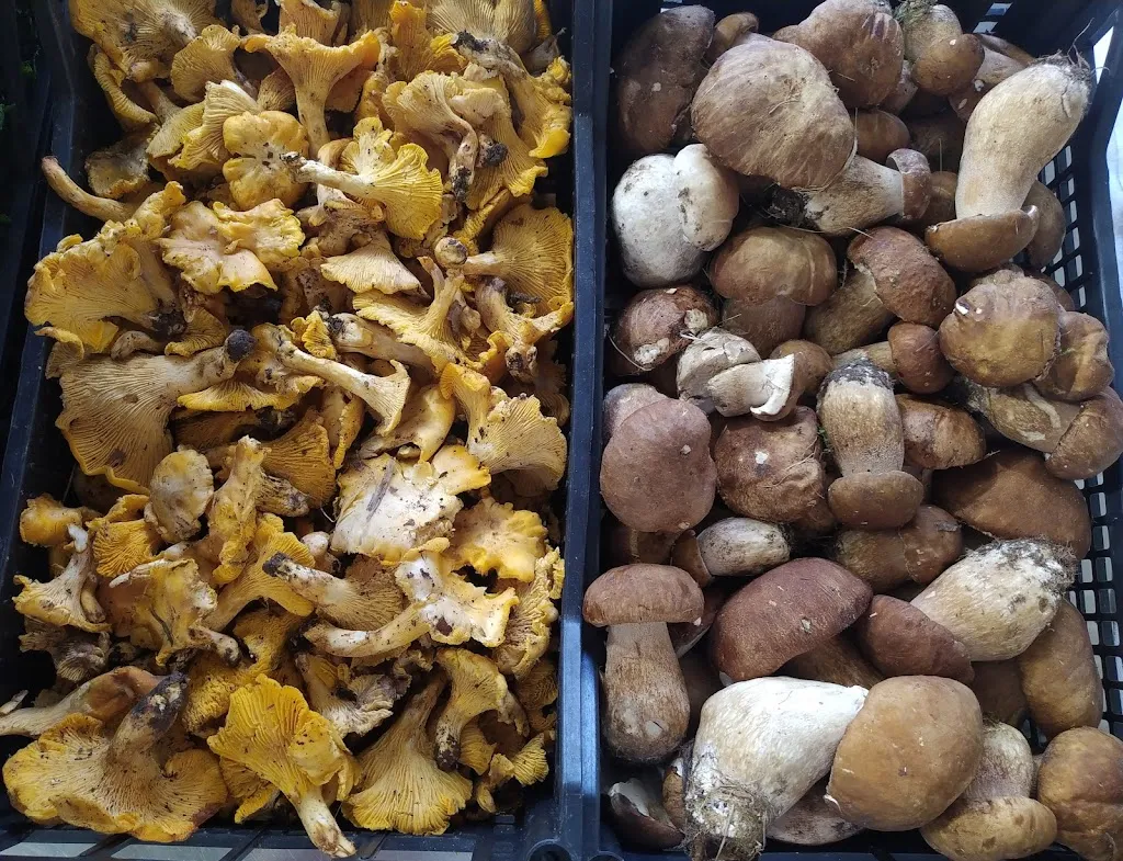 Menu_Ristorante Circolo Gastronomico Il Saraceno_Saracinesco_image_6