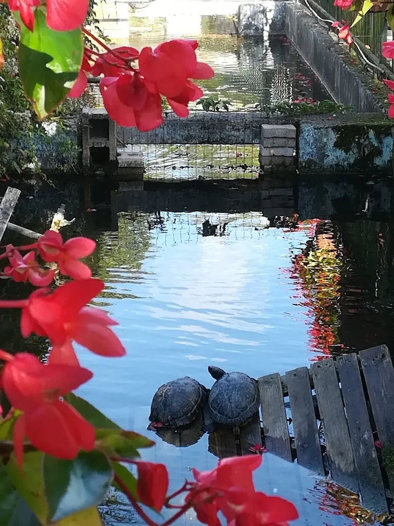 Alessandra Paudice_Le Roscelle_Saracinesco_review