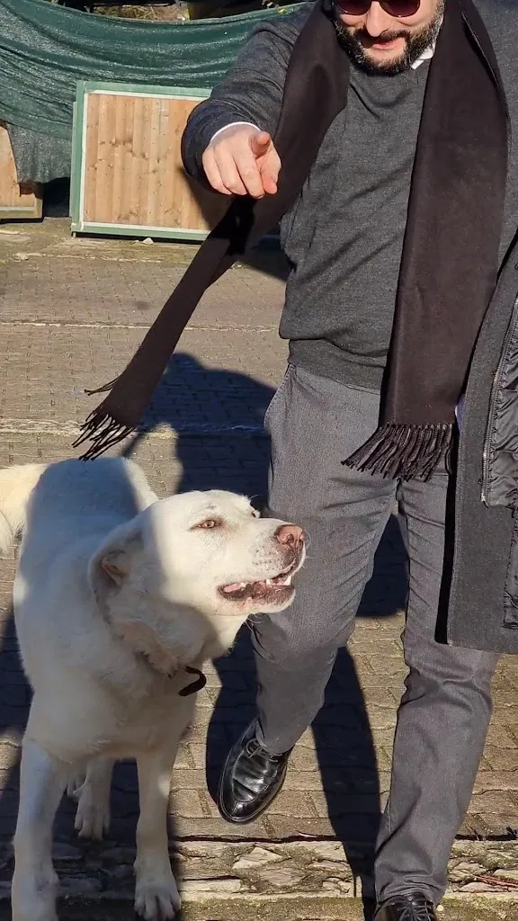 Daniela Paulesco_Le Roscelle_Saracinesco_review