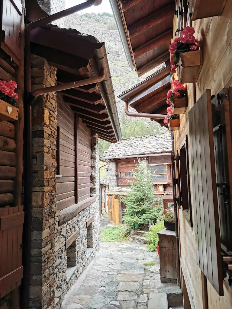 B Gulliver74_La Barme_Cogne_review