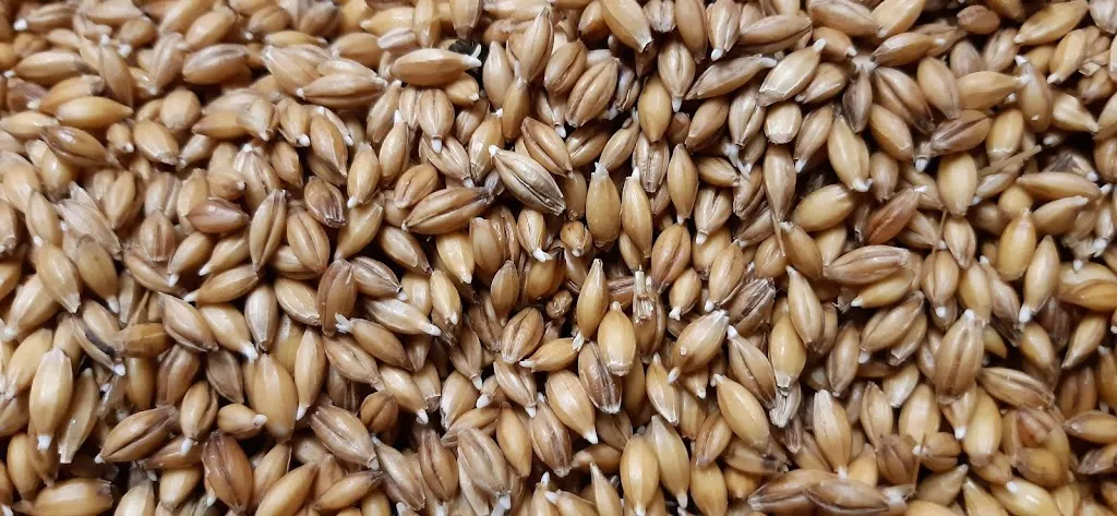 Menu_Birra Del Frate_Scandriglia_imagen_1