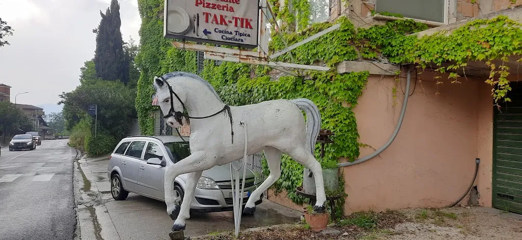 Nippon Viola_Tak Tik_Serrone_review