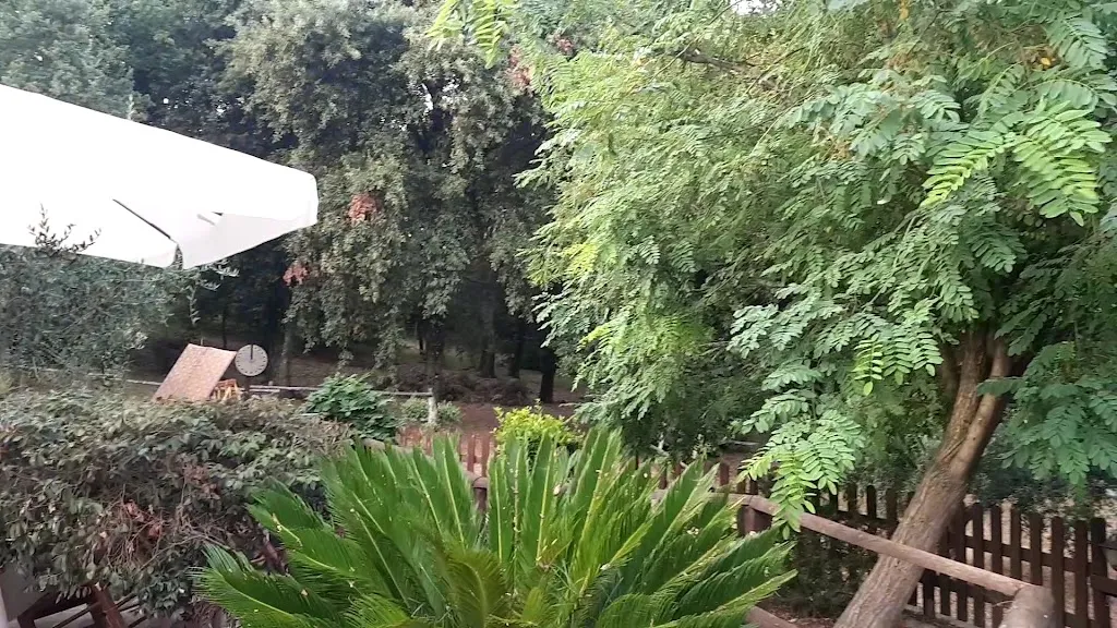 Il Seminario_Sezze_slider_image_2