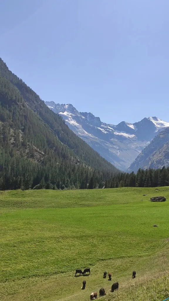 Bar Ristorante Valnontey - Valnontey _Cogne_slider_image_2