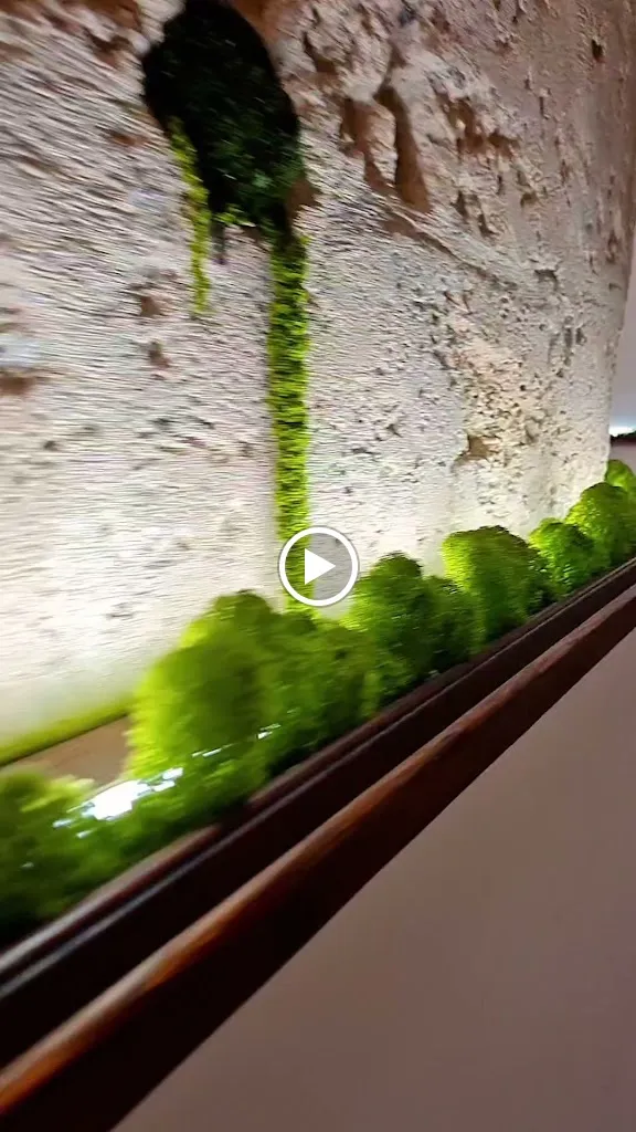 In Rada Restaurant_Tarano_slider_image_2