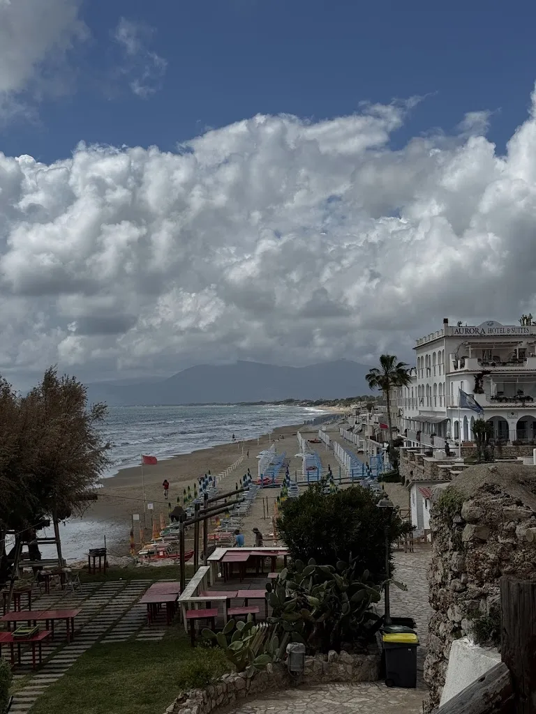 Cheryl Petersilge_Nautilus Lunch Restaurant Cocktails & Wine Bar_Sperlonga_review