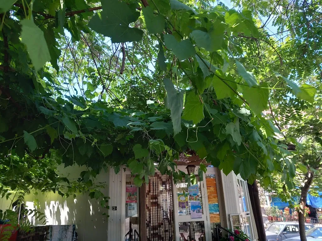 caterina giannetti_Bar Hosteria al Chiosco da Cristina_Terelle_review