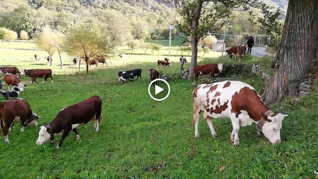 Agriturismo Le Rocher Fleurì_Donnas_slider_image_2