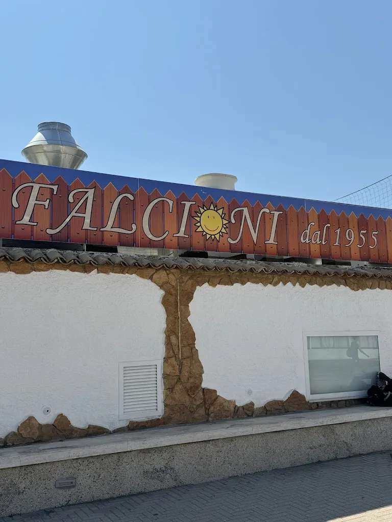 Vytautas Misiunas_Falcioni dal 1955_Tarquinia_recensione