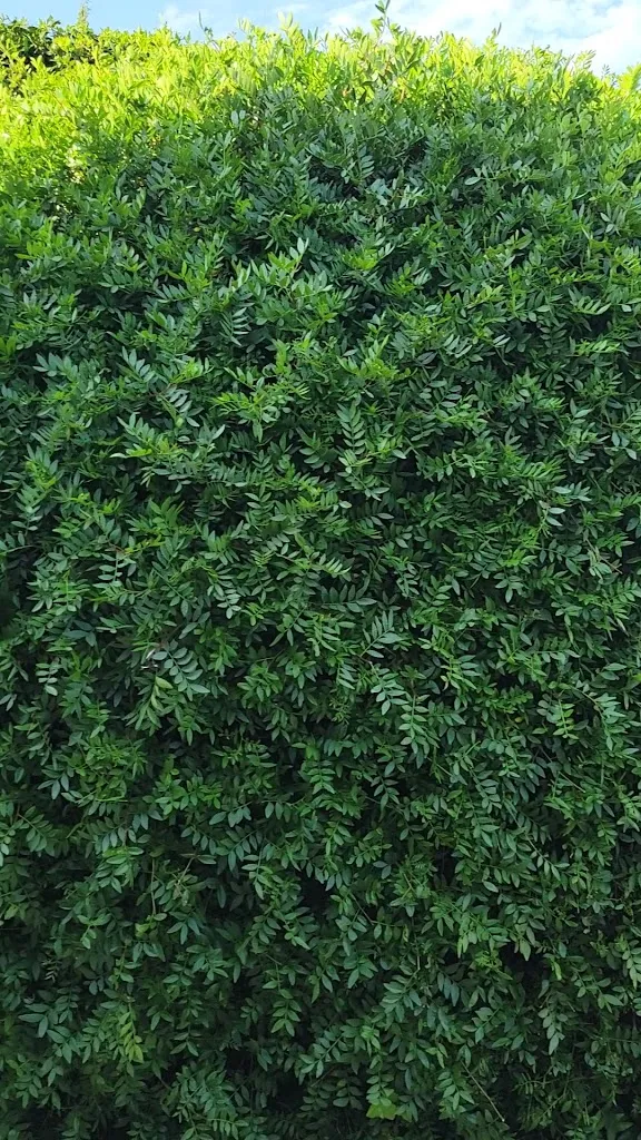 Villa Hotel Restaurant Valle del Marta_Tarquinia_slider_image_1