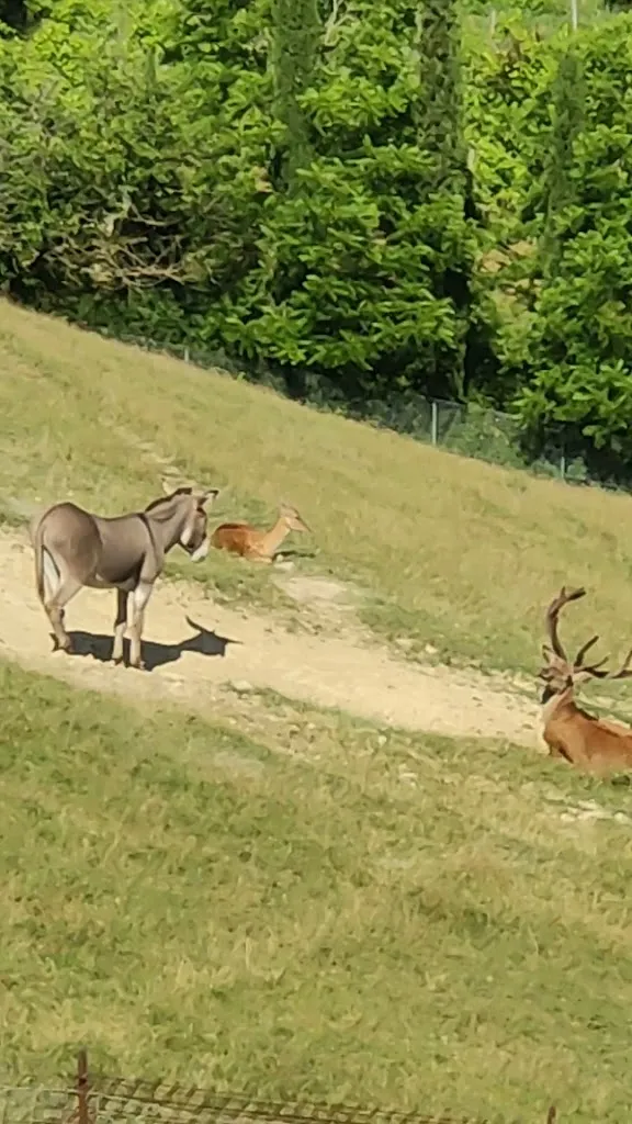 Tenuta del Varco S.R.L._Varco Sabino_slider_image_2