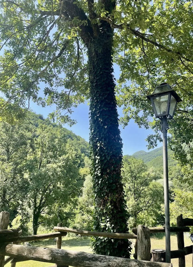 Kaire E_Agriturismo la Ferrera_Varco Sabino_review