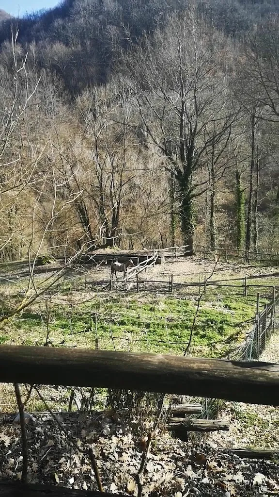 Agriturismo la Ferrera_Varco Sabino_slider_image_2