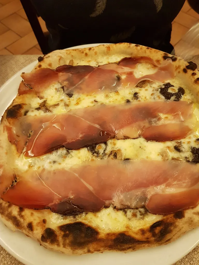 Leon Ardo_Il Gatto Mannaro_Vignanello_review