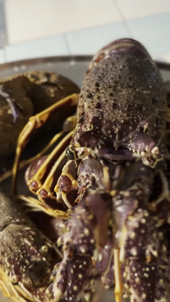 La Terrazza di Mimi_Ventotene_slider_image_2