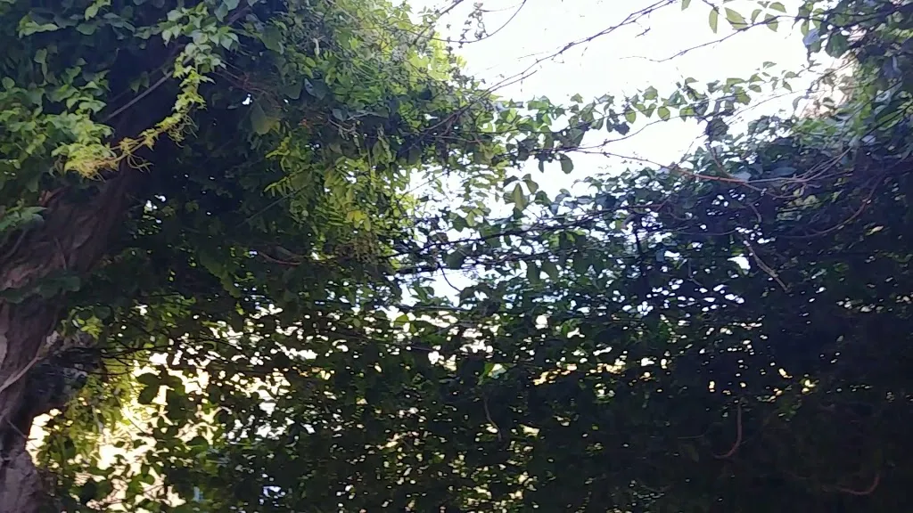 Da Verde Bar&Bistrot_Ventotene_slider_image_2