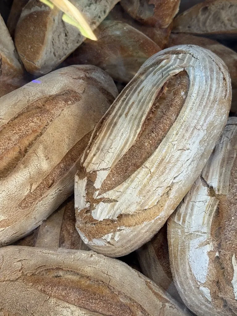 Menu_Antico Forno Aiello_Ventotene_image_3