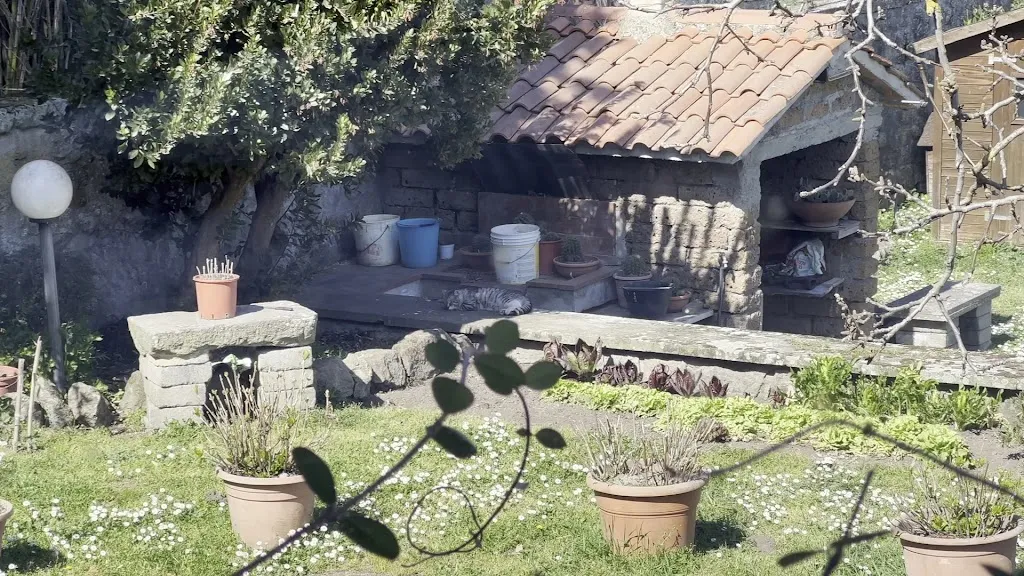 Stefano_Mactra_Vitorchiano_review