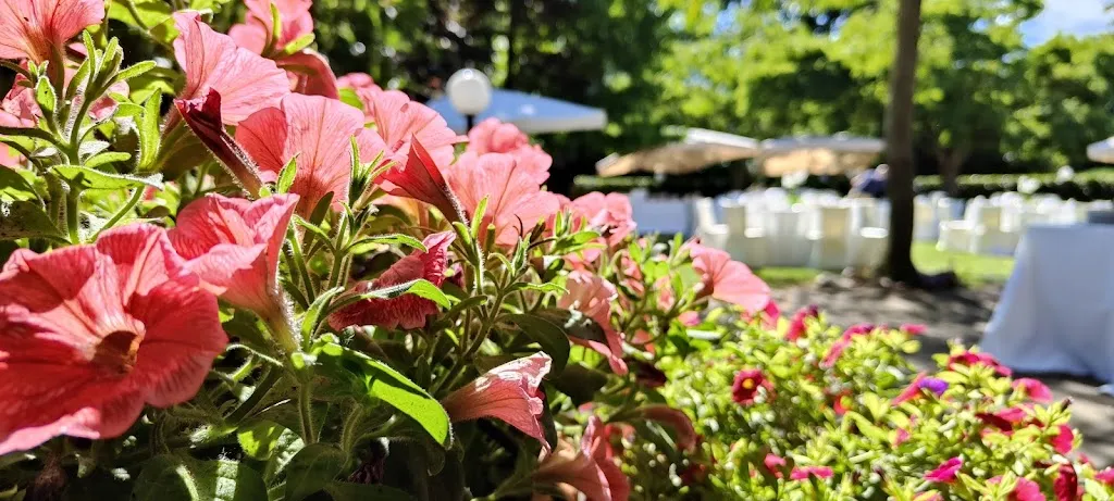 Ristorante Pizzeria Il Giardino - Sea Srl_Vitorchiano_slider_image_3