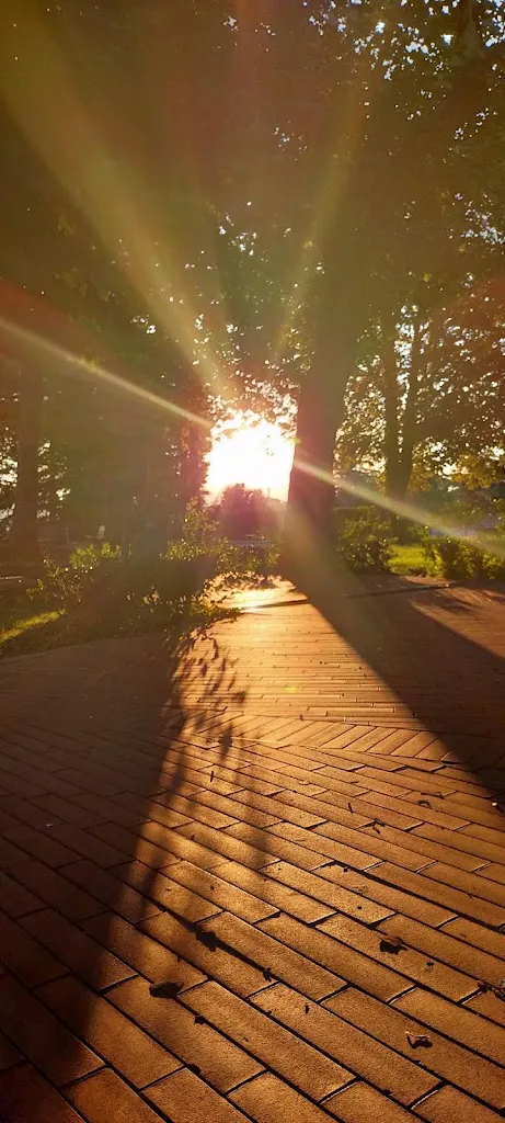 Chiosco di Rubbi Flaminia_Zepponami_slider_image_3