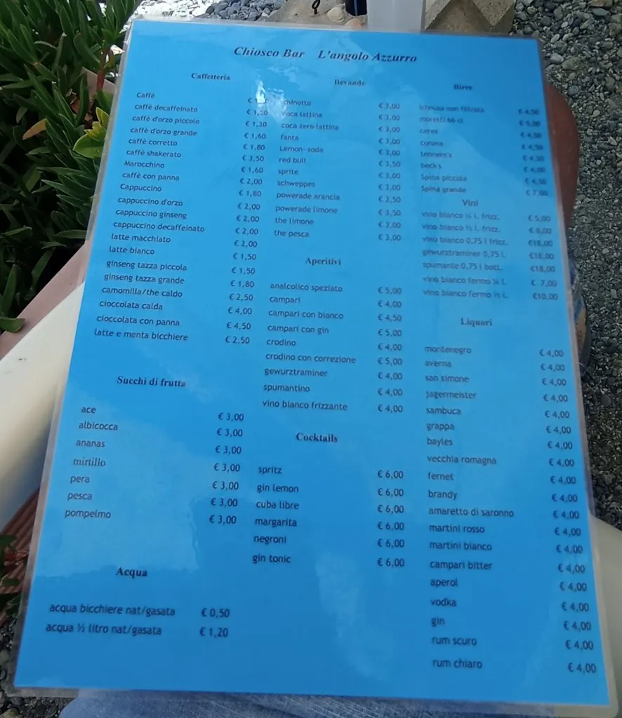 Menu_L'angolo Azzurro_Albisola Superiore_immagine_2