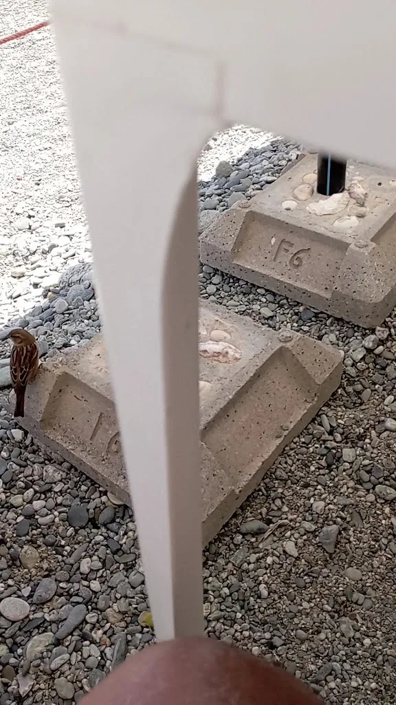 Michele_L'angolo Azzurro_Albisola Superiore_recensione