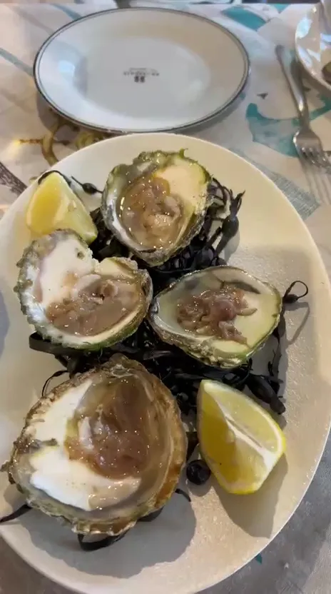 Il Timone_Albisola Superiore_slider_image_2