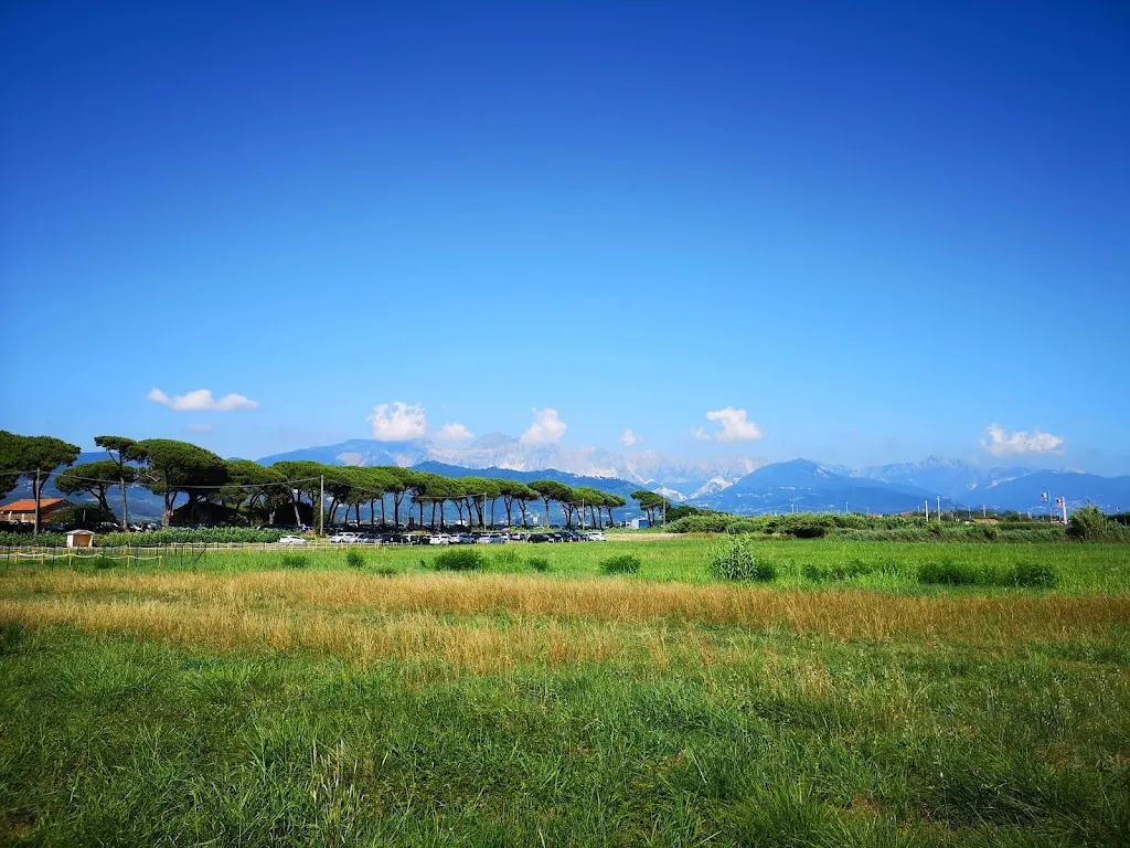 Svein Gunnar Standnes_Bagno Tropicana Beach_Ameglia_review
