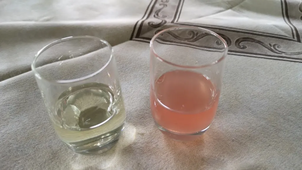 Menu_Agriturismo Lo Couis_Gignod_image_7