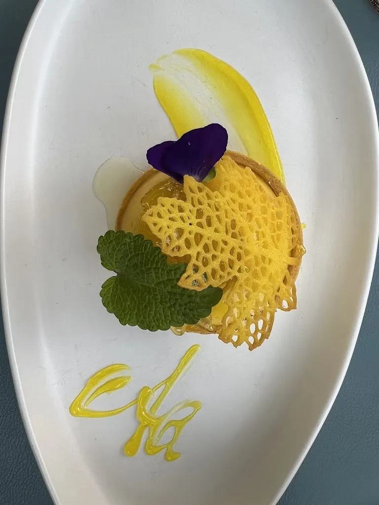 Kalindi Shah_Banchina 51_Alassio_review