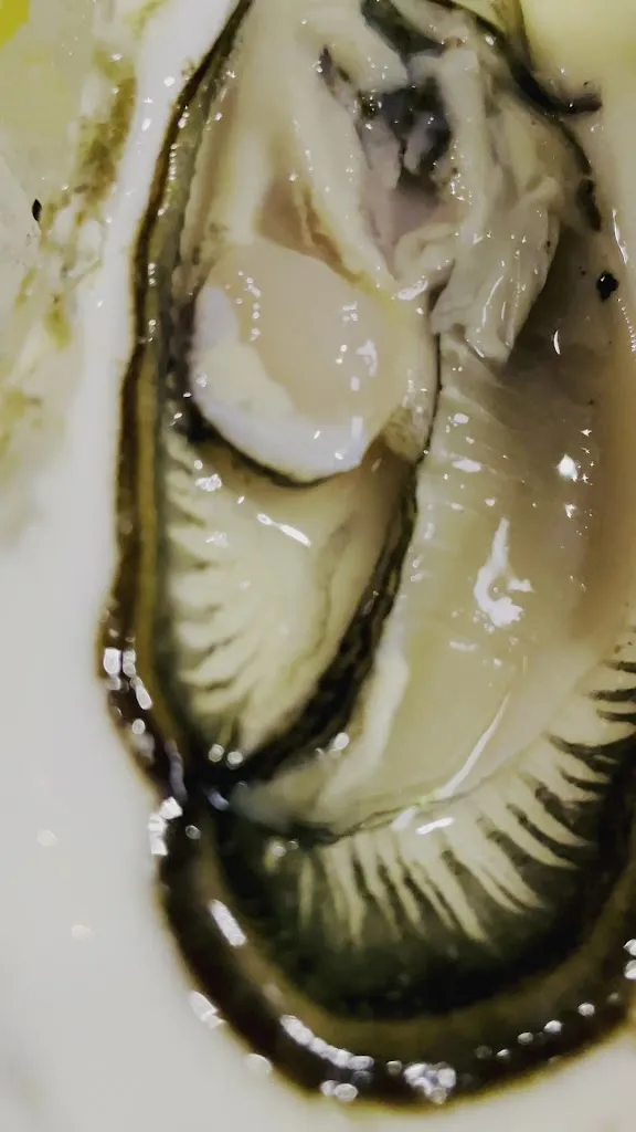 Atipico Ristorante Cruderia_Alassio_slider_image_2