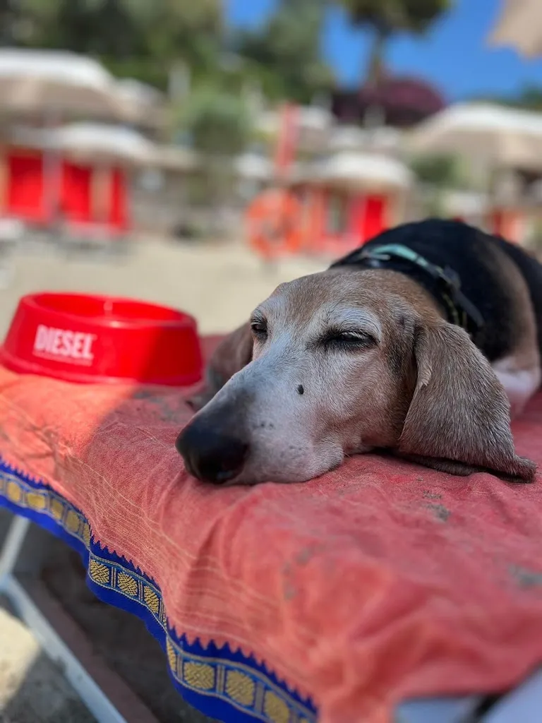 Benoit Van den Broeck_Baba Beach_Alassio_review