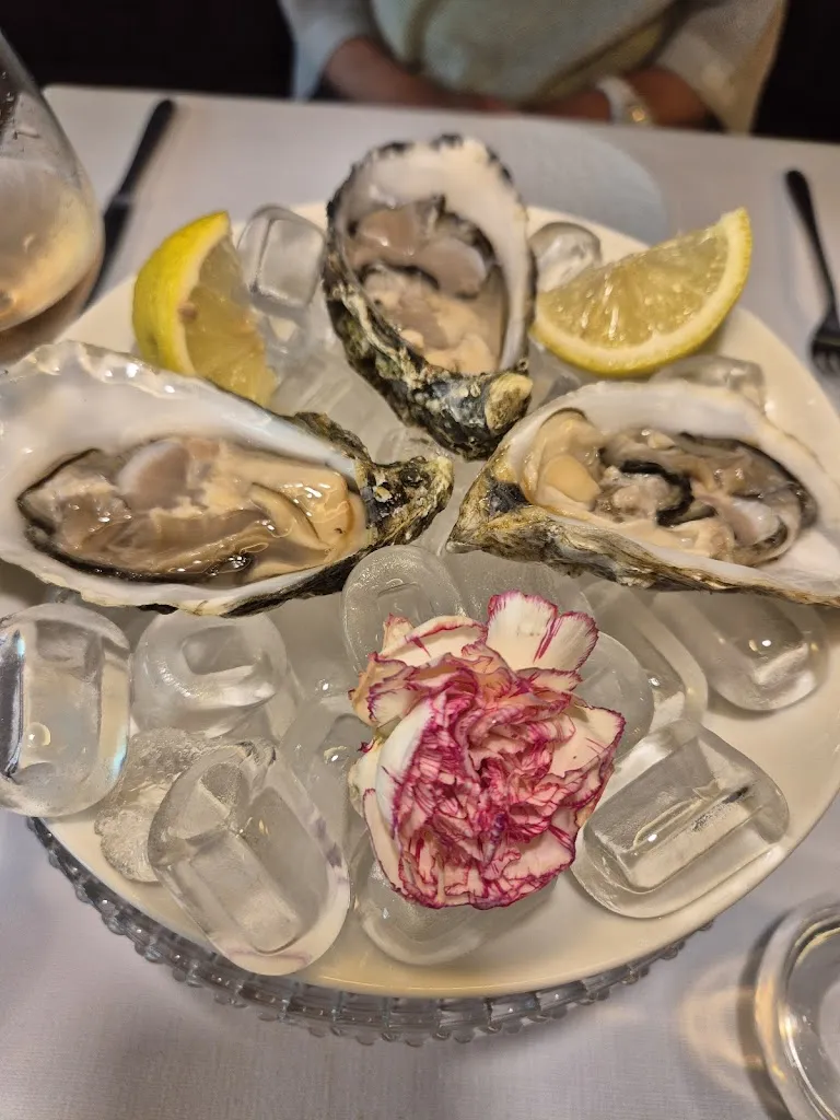 Aleksandra Sukneva_Viola_Alassio_review