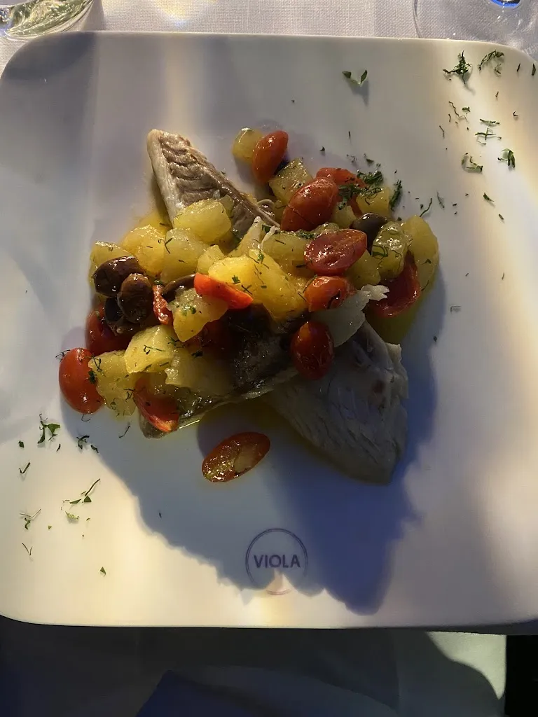 Yasin Taskiran_Viola_Alassio_review