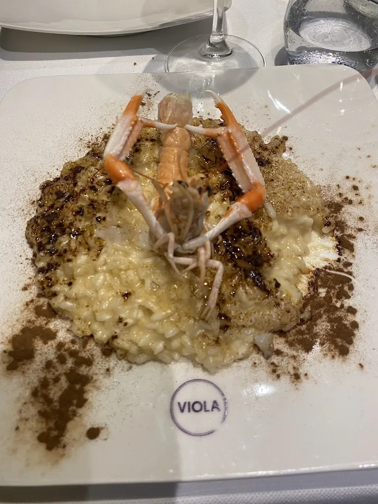 Viola_Alassio_slider_image_3