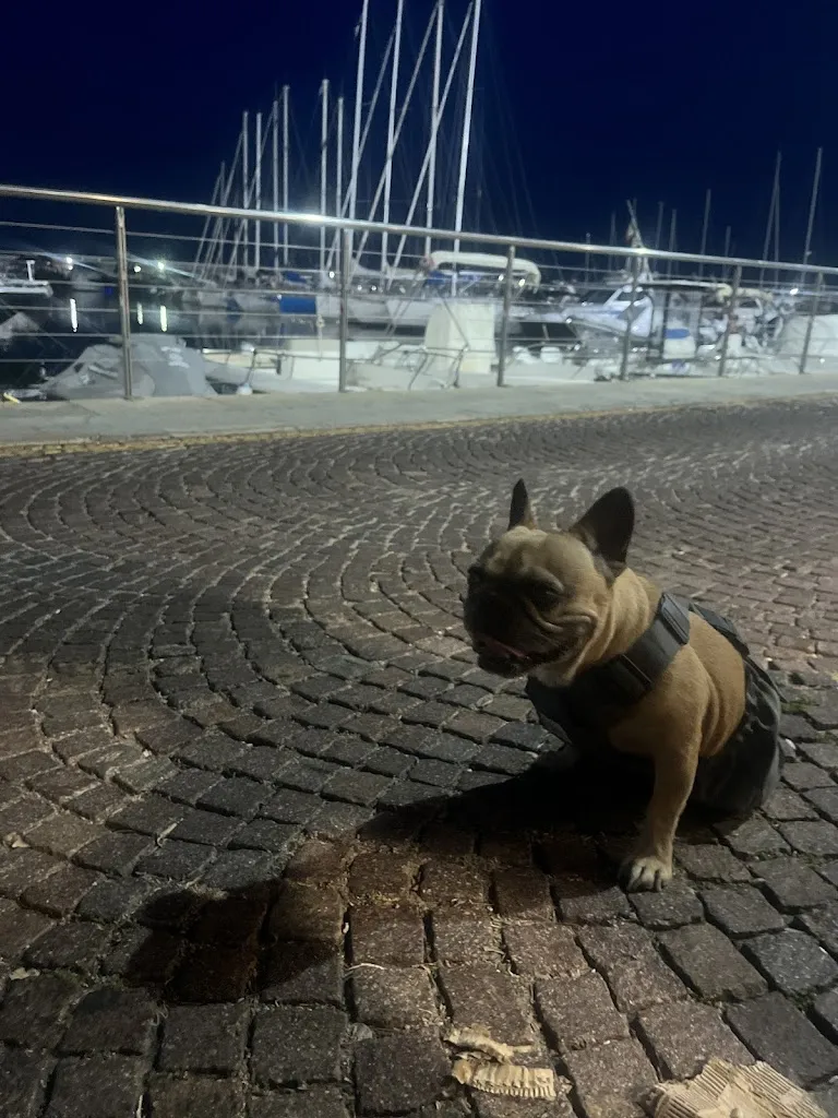 Marina Bistrot Alassio_Alassio_slider_image_2