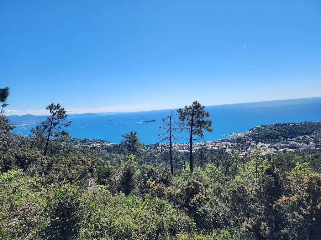 Marco Mocellin_Ristorante Agueta du Sciria_Arenzano_review