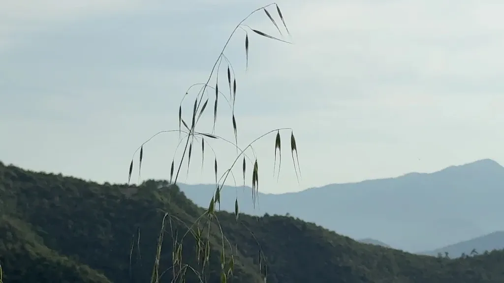 JJ Mai_Osteria Ra Culeta_Bajardo_review