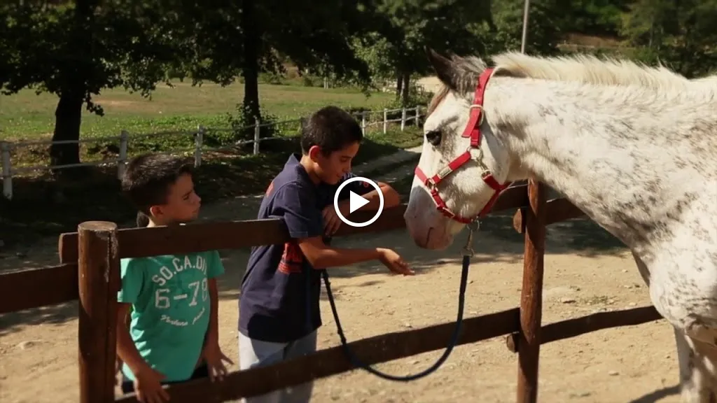 Fratelli Oddone_Bardineto_slider_image_2