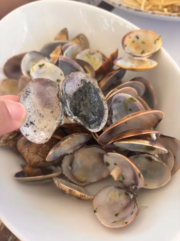 Davide pignatta_Majorca_Bergeggi_review