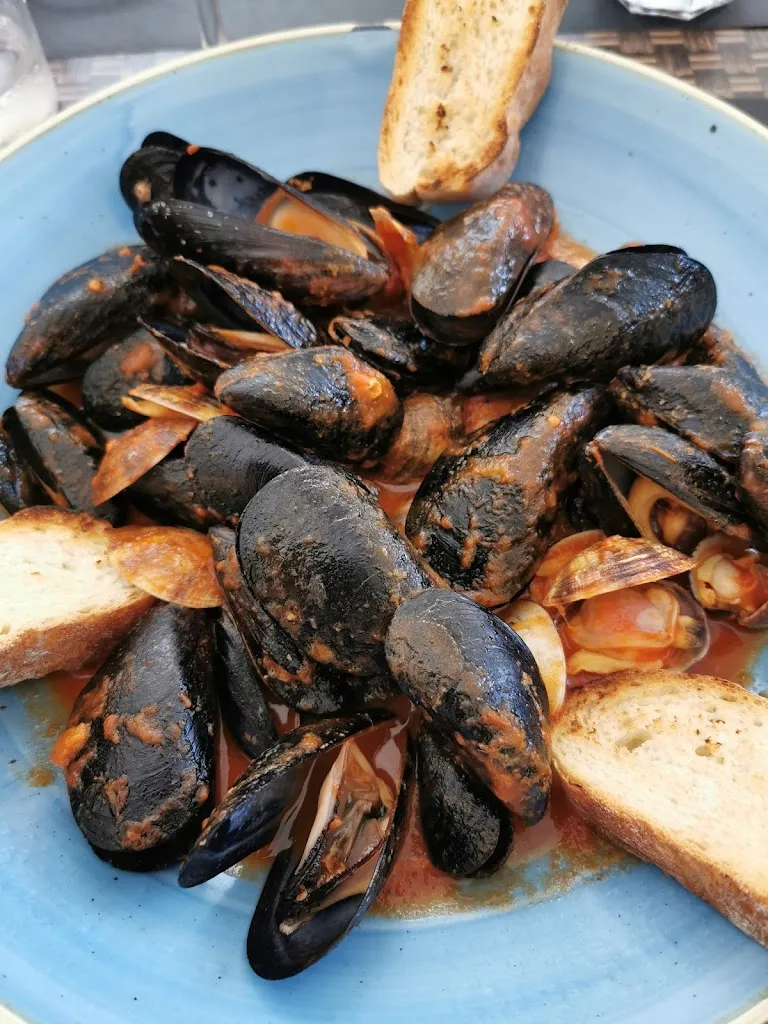 Jena Exploring Enjoying _Clipper_Bogliasco_review