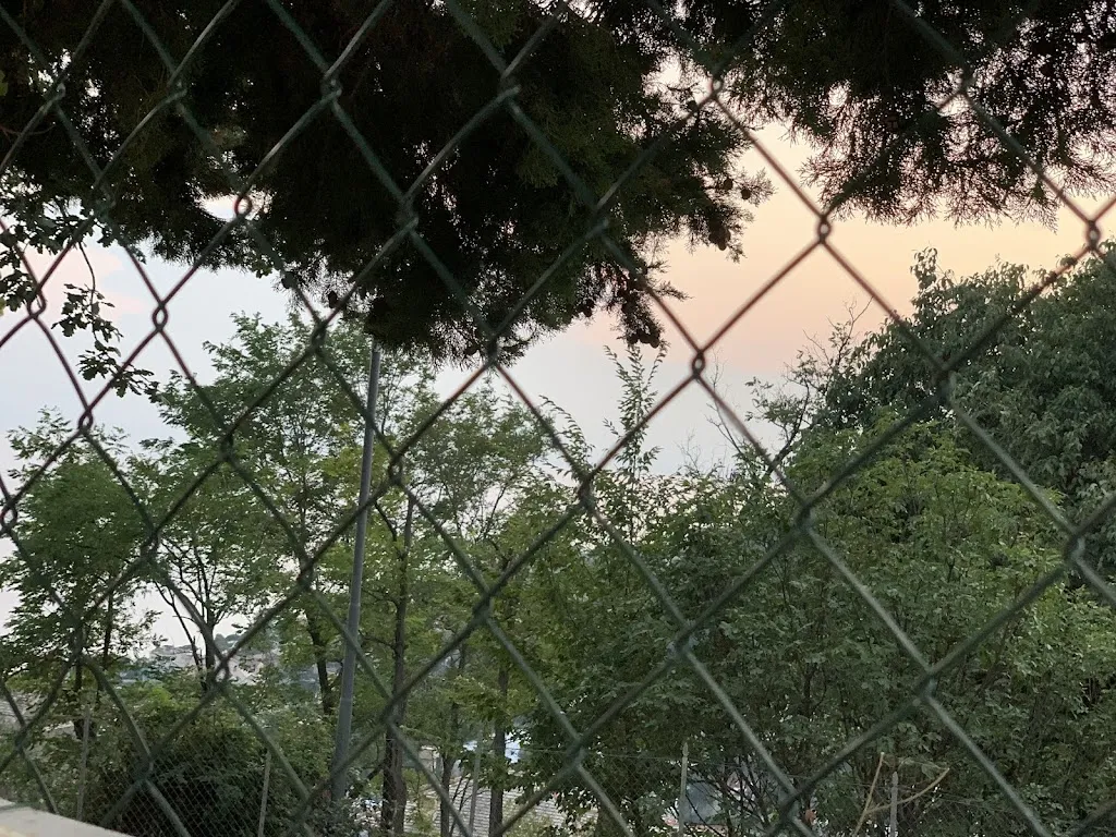 Enzo Lopez_Da-i Böggiaschin_Bogliasco_review