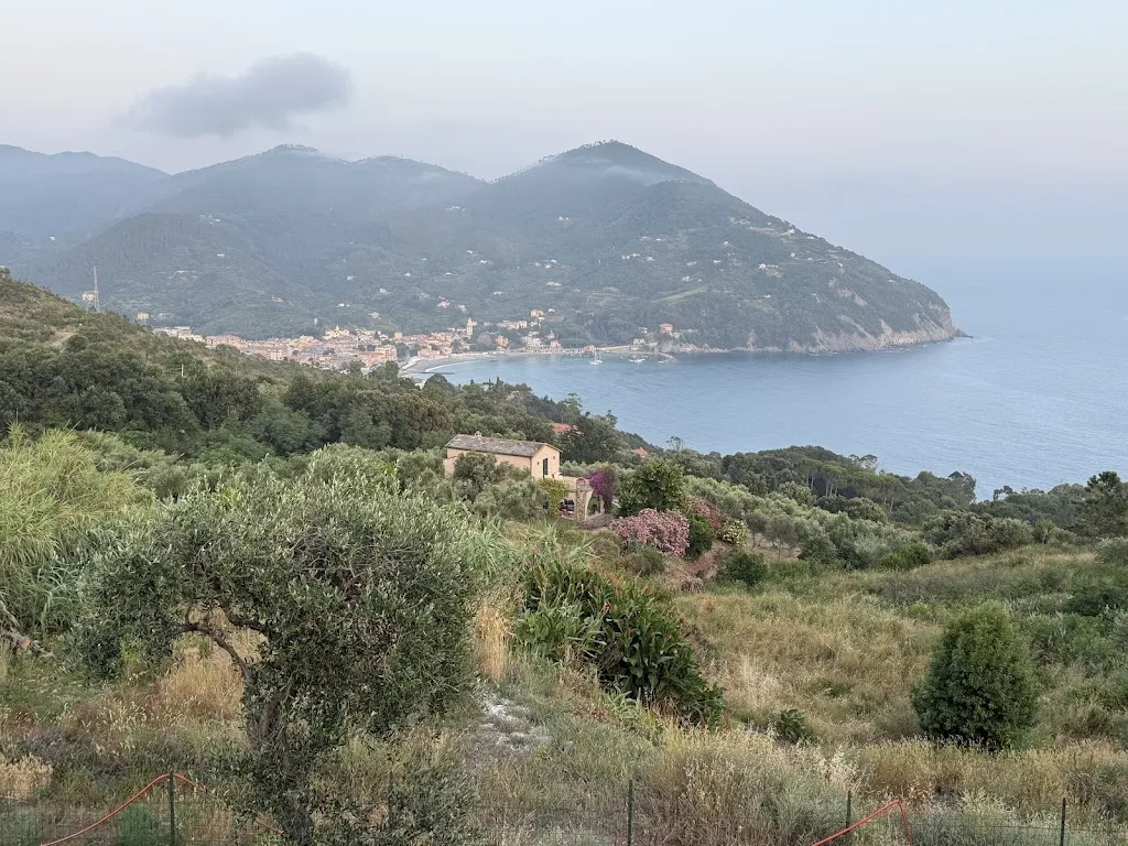 Eric Halvorson_La Giulia_Bonassola_review