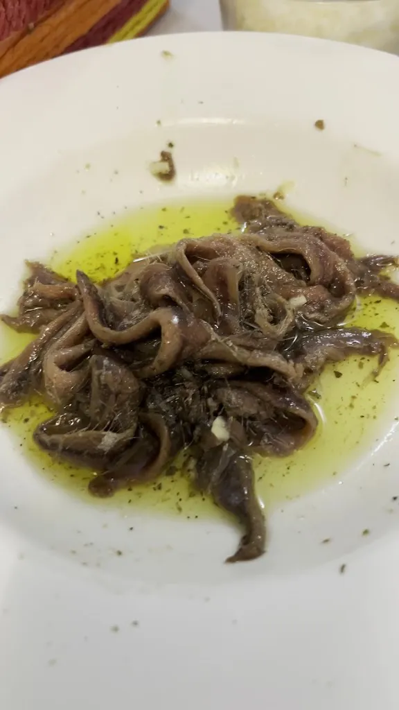 Halide Ebcinoglu_Antiga Ustaia Zita_Bonassola_review