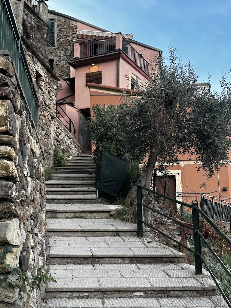 jonfargion_Antiga Ustaia Zita_Bonassola_review