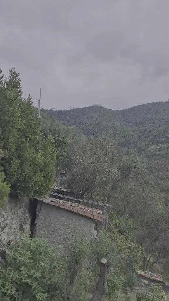 Antiga Ustaia Zita_Bonassola_slider_image_2