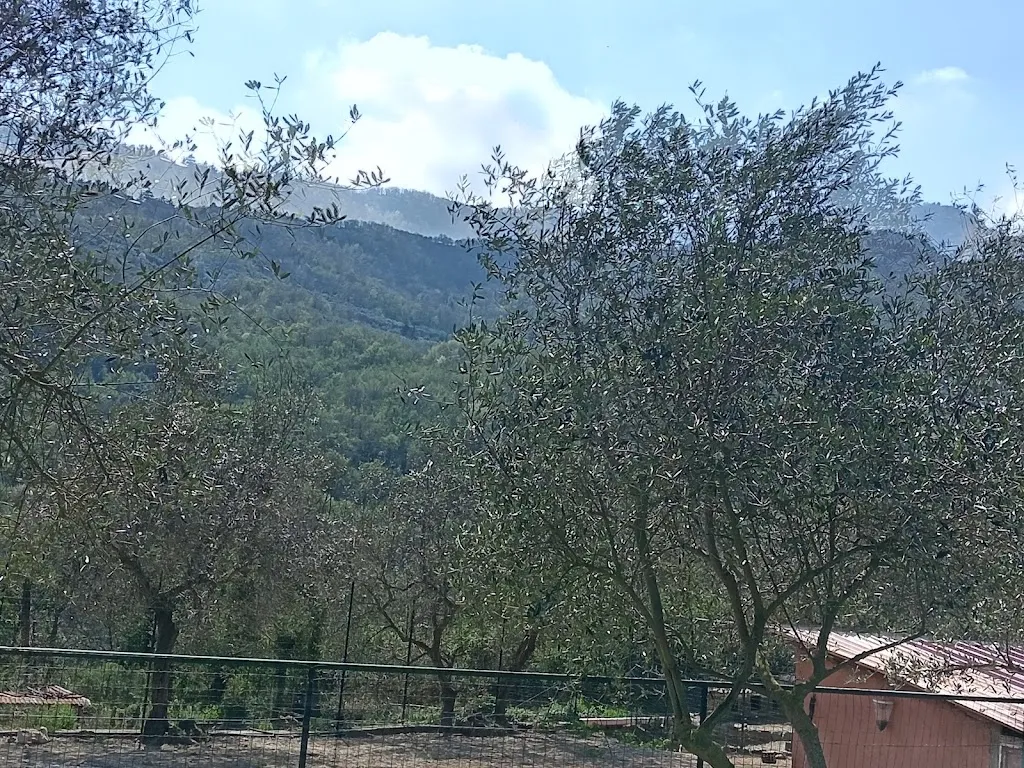 Silvia L._Agriturismo Cà Sottane - Imperia Borgomaro_Borgomaro_review